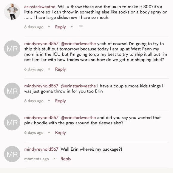 BEWARE OF @ERINSTARKWEATHE or @ERINSHANGER - Picture 4 of 11